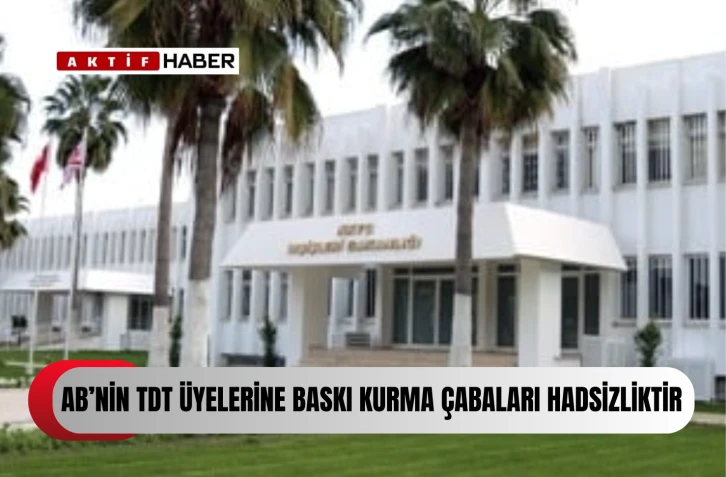 “AB’nin TDT üyeleri üzerinde baskı kurmaya çalışması büyük bir hadsizliktir”