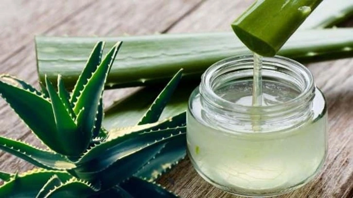 Aloe vera ile sivilcelere veda edin