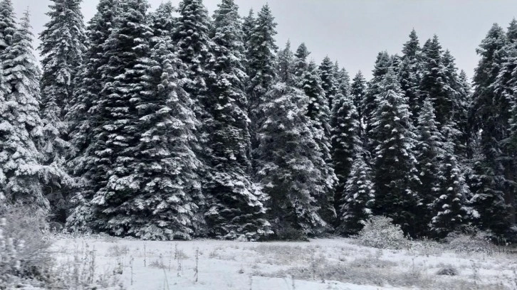 Bolu'nun yüksek kesimleri beyaza büründü