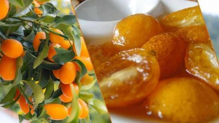 C vitamini deposu "altın mandalina" ile tatlı lezzet: Kamkat reçeli tarifi