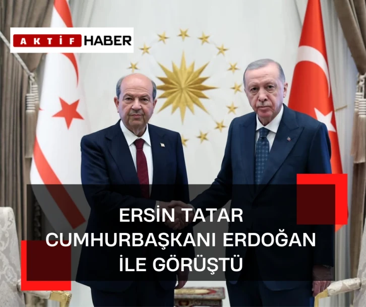 Cunhurbaşkanı Tatar,TC Cumhurbaşkanı Recep Tayyip Erdoğan ile görüştü.