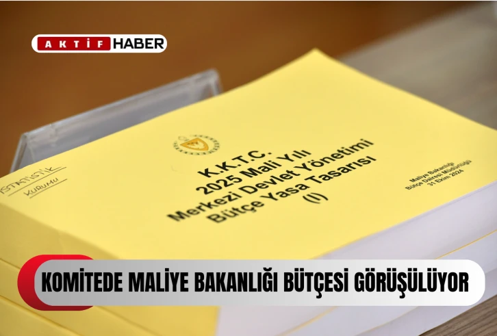  Komitede Maliye Bakanlığı bütçesi görüşülüyor