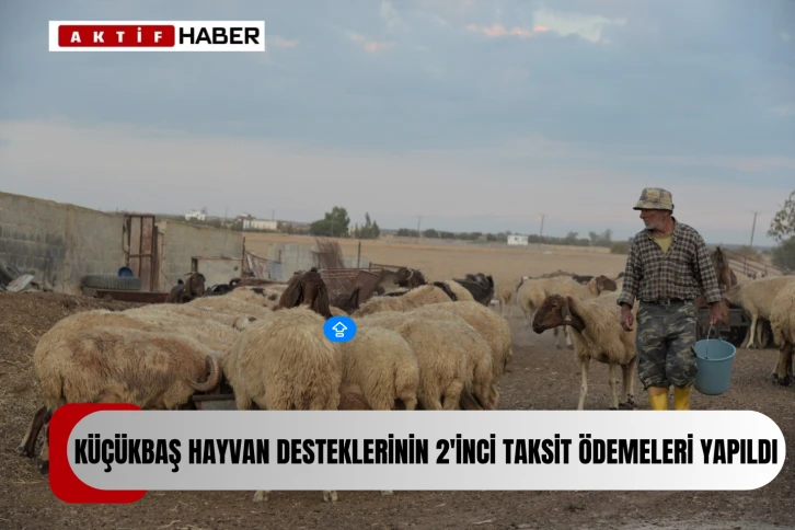  Küçükbaş hayvan desteklerinin 2’nci taksit ödemeleri yapıldı