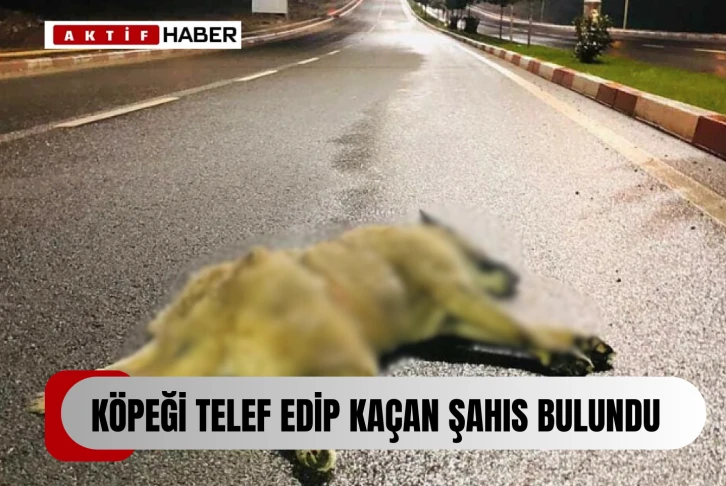 KÖPEĞE ÇARPAN ARAÇ SÜRÜCÜSÜ TESPİT EDİLEREK HAKKINDA YASAL İŞLEM BAŞLATILDI…