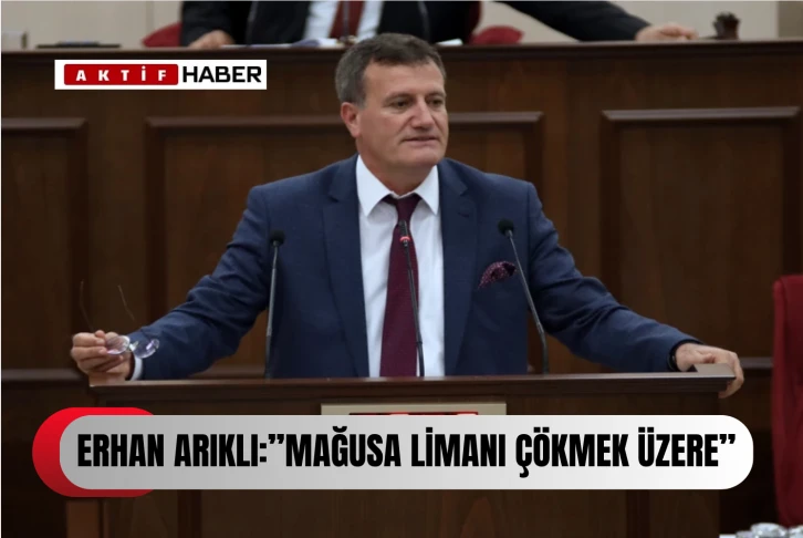 ARIKLI:''MAĞUSA LİMANI ÇÖKMEK ÜZERE''