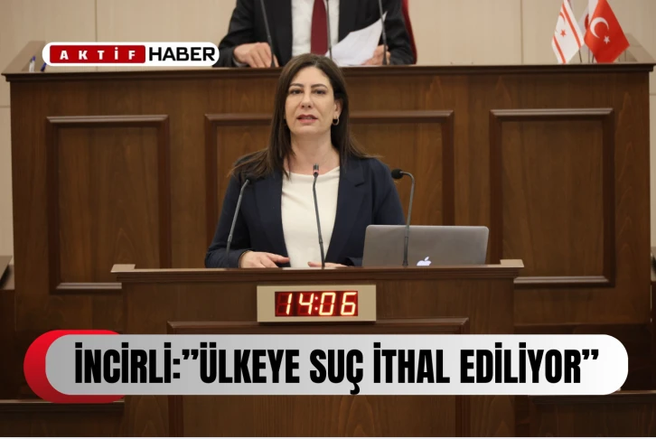 Sıla Usar İncirli: &quot;Bu Ülkede Güvenlik Krizi Var, Şu Anda Suç İthali Yapıyoruz&quot;