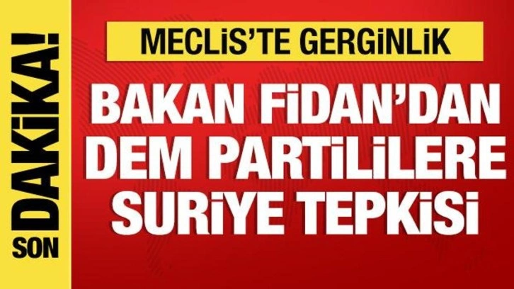 Son Dakika: Bakan Fidan, TBMM'de konuştu: DEM Partililere tepki gösterdi