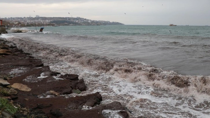 Tekirdağ sahilini kırmızı yosun kapladı!