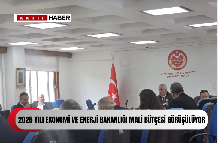 KKTC 2025 Bütçe Görüşmeleri: Ekonomi ve Enerji Bakanlığı Tartışmaları...