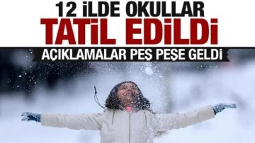 12 ilde okullar tatil edildi! Kar yağışı yolları kapadı