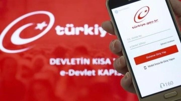 2024 sonuçları belli oldu! e-Devlet'te kullanıcı memnuniyetinde rekor