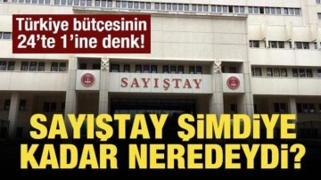 "560 milyar TL" tepkisi: "Sayıştay şimdiye kadar neredeydi"