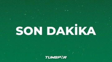 A Milli Takım'ın son rakibi İspanya oldu!