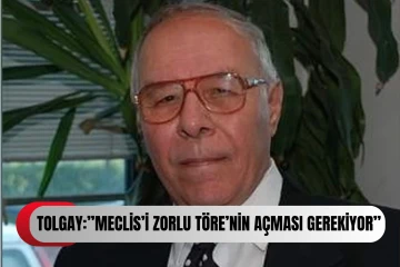 Ahmet Tolgay’dan Meclis Gündemiyle İlgili Çarpıcı Değerlendirme...