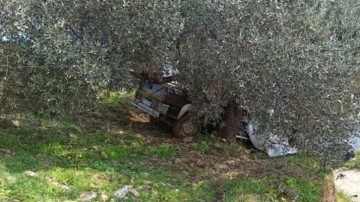 Aydın'da ağaca çarpan pikabın sürücüsü öldü