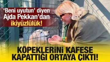 'Beni de uyutun' diyen Ajda Pekkan'ın köpeklerini kafese kapattığı ortaya çıktı!