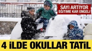 Birçok ilçede okullar tatil edildi