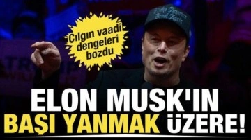 Çekiliş nedeniyle Elon Musk'ın başı yanmak üzere!