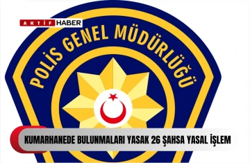 Eş zamanlı asayiş ve trafik denetimleri gerçekleştirildi...