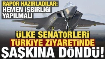 Fransız senatörler Türkiye'yi ziyaret etti, şaşkına döndü: Hemen iş birliği yapılmalı!