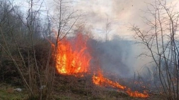 Havalar ısındı, yangınlar başladı