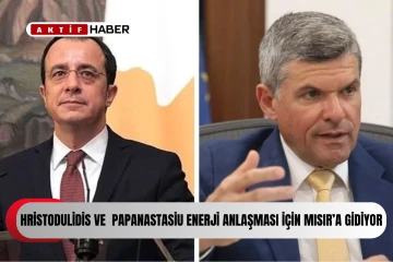 Hristodulidis ve Papanastasiu doğal gaz anlaşmaları için pazartesi Mısır’a gidiyor....