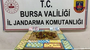 Kahvehanede tombala oynayan 32 kişiye 296 bin TL ceza