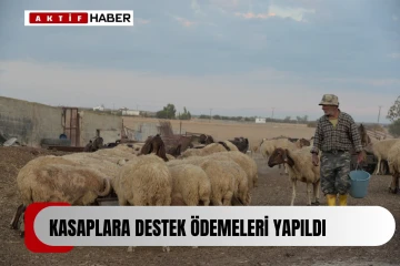 Kasaplara destek ödemeleri yapıldı...