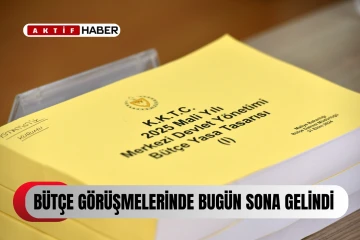  Komitedeki bütçe görüşmelerinde  bugün son gün…