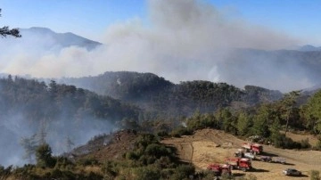 Muğla'nın 2 ilçesinde orman yangınlarına müdahale sürüyor