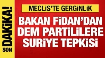 Son Dakika: Bakan Fidan, TBMM'de konuşuyor: DEM Partililere tepki gösterdi