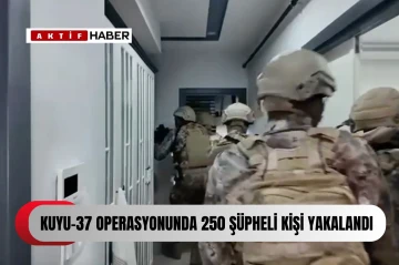 Suç örgütüne operasyon: 270 şüpheli yakalandı