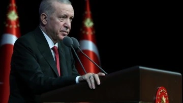 Türkiye'den ABD'de yatırım toplantısı: Erdoğan şirket yöneticiyle görüşecek